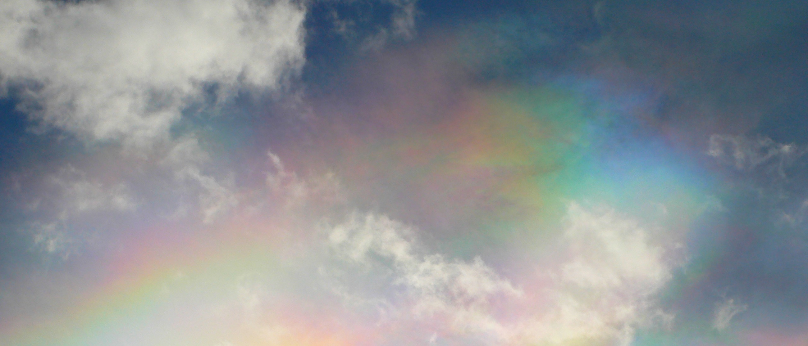 Cours de base sur les Fleurs de Bach